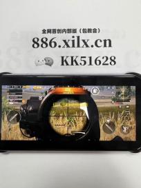 红人阁自动刷任务